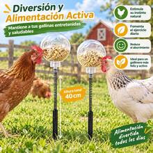 Feeder For Chickens And Poultry Interactive Foraging Toy With Flexible Spring And Ground Stake Plastic Feeder With 40cm Porous Ball - Feeder - View 3