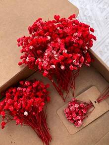 50/100pcs, Artificial White Mini Simulation Baby's Breath Gypsophila Ivory Flowers For Vase Wedding Home Office Party Garden Card Making Decor, DIY Decoration - Red - View 10