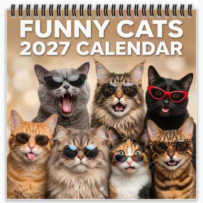 1pc 2027 Funny Cat Meme Calendar - Humorous Kitten Planner, Suitable For Home Office Decor, Cat Lovers, Adult Gift, Applicable For Father's Day, Christmas, Halloween