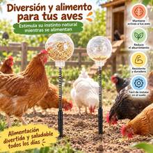 Feeder For Chickens And Poultry Interactive Foraging Toy With Flexible Spring And Ground Stake Plastic Feeder With 40cm Porous Ball - Feeder - View 5