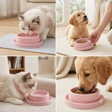 1pc Anti-Ant Pet Food Bowl, Wide Rim High Edge Non-Slip Cat Dog Feeding Bowl, With Protective Outer Ring, Spill-Proof Design, Suitable For Indoor And Outdoor Use - 500ml - View 3