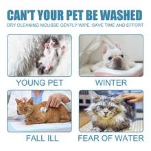 No-RinseRabbit Dry Shampoo Foam - Quick Dry DeDry Shampoo Foam - Quick Dry | Stress-Free Care For Small Animals, - 1PC - View 4