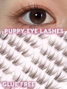 80pcs Black & Brown Glue-Free False Eyelash Clusters, Natural Lightweight Segmented Lashes, No Glue Needed, Easy To Apply, Invisible Transparent Tape, Suitable For All Occasions, Eyelashes, False Eyelashes, Glue-Free Lashes - C - View 1