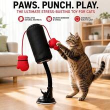 Cat Punching Bag Toy, Fun Cat Teasing Activity, Cat Exercise Toy With Hanging Boxing Gloves - Multicolor - View 7