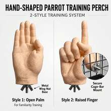 Realistic Hand-Shaped Parrot Perch, Anti-Slip Hand-Shaped Bird Cage Perch, Fun Realistic Hand Parrot Stand, Universal Bird Perch, Realistic Hand-Shaped Parrot Perch, Suitable For All Types Of Parrots - View 4