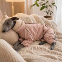 Italian Greyhound Windproof Coat, Gray Pink Autumn/Winter Warm Waterproof Reflective Teddy Fleece High Collar Four-Legged Jumpsuit, Slim Fit, Suitable For Italian Greyhound And Whippet - Dusty Pink - View 8