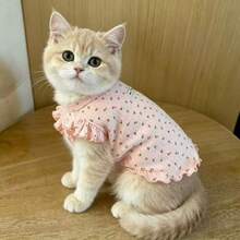 Rompi Hewan Peliharaan Motif Floral dengan Lengan Flutter, Pakaian Rumah Lembut untuk Anjing Kecil & Kucing, Cocok untuk Teddy, Schnauzer, Gaya Putri Musim Semi & Gugur - Berwarna merah muda - View 2