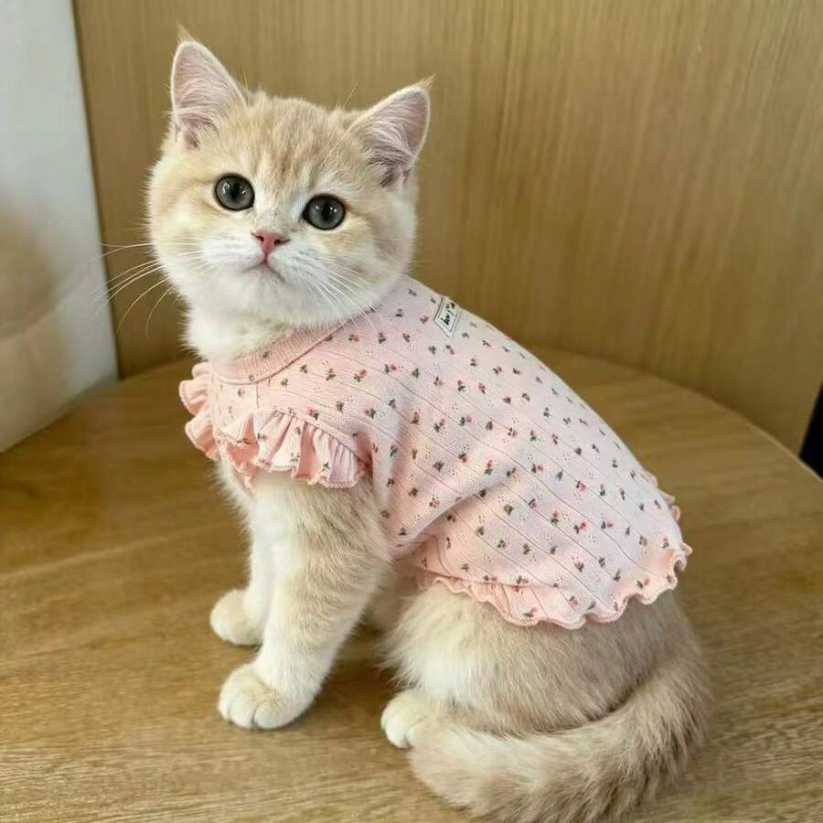Rompi Hewan Peliharaan Motif Floral dengan Lengan Flutter, Pakaian Rumah Lembut untuk Anjing Kecil & Kucing, Cocok untuk Teddy, Schnauzer, Gaya Putri Musim Semi & Gugur