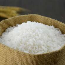 Simulated Rice Display Props Fake Food Display Props Model PVC Simulation White Rice Cabinet Decoration Photography Props Festive Party Supplies Artificial Decorations - Multicolor - View 10