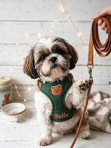Custom Name Embroidered Dog Harness & Leash Set, Personalized Pet Walking Gear, Ideal Holiday Gift For Dogs - Multicolor - View 5