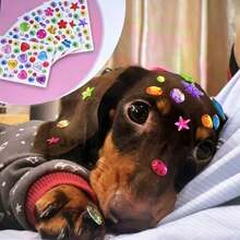 4pcs DIY Acrylic Rhinestone Pet Stickers - Colorful Heart, Flower, Star Shapes, Random Colors And Styles, Suitable For Dog And Cat Grooming Decoration - Multicolor - View 13