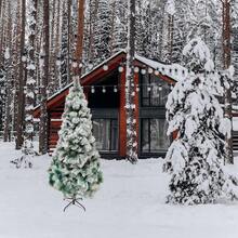 Christmas Trees - 2.10 M - View 4