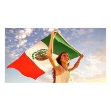 Sports Collectibles - Flags - White - View 4