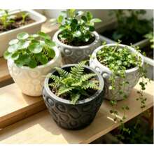 Creative Pebble-Shaped Home Decor Succulent Planter Pot - A - View 2