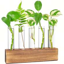 Plant Propagation Station, Glass Plant Container With Wooden Frame, Hydroponic Planter, Suitable As Gardening Gift For Women, Mothers And Plant Lovers, Can Be Used As Birthday Gift. - A - View 1