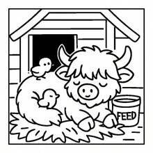 1pc Highland Cow Coloring Book, Adorable Fluffy Scottish Cow Farm Scenes, Relaxing Anti-Anxiety Coloring Sheets For Beginner - Multiple Styles - View 6