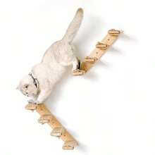 1pc Cat Wall Shelf & 1pc Perch, Tassel Cat Hammock, Cat Ladder, Modern Cat Furniture Suitable For Sleeping, Playing And Climbing - Apricot - View 8