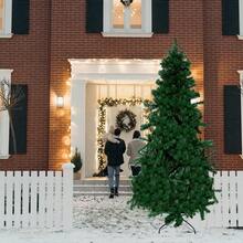 Christmas Trees - 1 - View 1