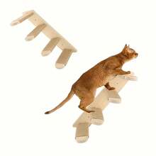 1pc Cat Wall Shelf & 1pc Perch, Tassel Cat Hammock, Cat Ladder, Modern Cat Furniture Suitable For Sleeping, Playing And Climbing - Apricot - View 9