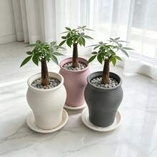 Lightweight Planting Pots-Plastic Pots Suitable For Herbs And Various Plants-Sturdy And Durable, Suitable For Both Indoor And Outdoor Use. - A - View 1