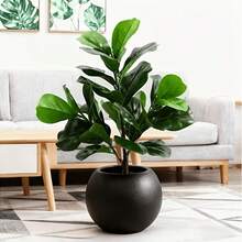 1 Piece - 2026 New Round Flower Pot, Black Hydroponic Pot, Nordic Bohemian Style, Home Decoration, Waterproof Plastic Round Plant Container, Suitable For Garden Gifts - C - View 8