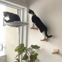 Wall Mounted Cat Climbing Shelf With Hemp Rope Covered,Cat Wall Steps, Cat Ladder, Cat Stairway With Felt For Cat Climbing And Playing - Apricot - View 7