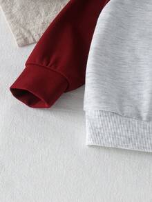 2pcs Boys (Infant) Casual Sporty Pony Rider Print Colorblock Raglan Crew Neck Long Sleeve Sweatshirt & Side Stripe Jogger Sweatpants Set, Spring/Autumn - Burgundy - View 6