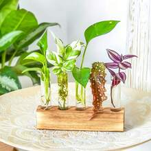 Plant Propagation Station, Glass Plant Container With Wooden Frame, Hydroponic Planter, Suitable As Gardening Gift For Women, Mothers And Plant Lovers, Can Be Used As Birthday Gift. - A - View 10