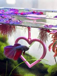 6 Colors Floating Heart-Shaped Betta Fish Swim Ring | Betta Fish Decoration & Entertainment | Anti-Algae Fish Tank Entertainment, Fun Aquarium Decor - A - View 10