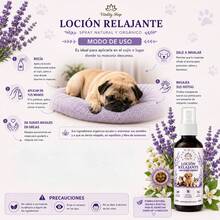 Pet Colognes - Lavender - View 4