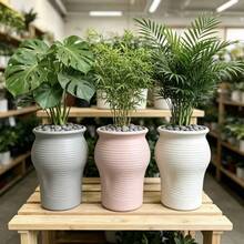 Lightweight Planting Pots-Plastic Pots Suitable For Herbs And Various Plants-Sturdy And Durable, Suitable For Both Indoor And Outdoor Use. - A - View 2