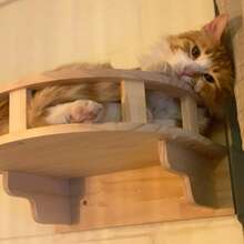 Cat Hammock And Cat Wall Shelves , Cat Wall Furniture , Cat Ladder And Perches For Wall Climbing Shelves For Indoor, Maximum Load : 12kg (26lb) - Apricot - View 5