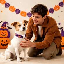 1pc Pet Halloween Pumpkin Collar, Cute Pumpkin Bat Dog Collar, Cat Collar, Suitable For Halloween Pet Costume - Purple - View 3