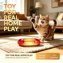 1pc New 2026 Gradient Infinity Loop Track Ball Toy, Self Play Interactive Puzzle Toy For Indoor Cat Kitten, Relieve Boredom Pet Play Supplies, 2 Colors Available - View 6
