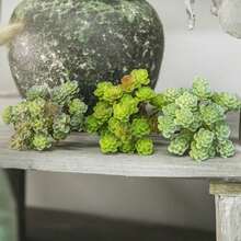 Miniature Artificial Succulent Plant Realistic Small Potted Succulent Decoration Artificial Green Plant For Home Office Indoor Outdoor Decor - Multicolor - View 5