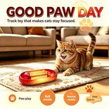 1pc New 2026 Gradient Infinity Loop Track Ball Toy, Self Play Interactive Puzzle Toy For Indoor Cat Kitten, Relieve Boredom Pet Play Supplies, 2 Colors Available - View 5