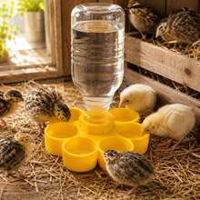 1/2pcs Anti-Drowning Waterer, Suitable For Chicks And Quail, Automatic Poultry Waterer, Suitable For Chicks And Ducklings, Suitable For Mineral Water Bottles (Diameter Approx. 2.5cm), Essential Brooder Supplies For Raising Chickens - Multicolor - View 7
