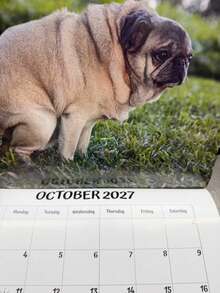 Calendar 2027 Dogs Pooping In Beautiful Places Funny Gag Gifts Thick Paper Wall Calendar Christmas Home Decor Planning Organizer - Multiple Styles - View 3