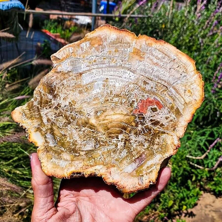 1 Pc Stunning Quartz Irregular Slice Cluster – Distinct Veining – Home Decor- Classroom Teaching Resource – Unique Gift For Easter Or Valentine's Day - Multicolor - View 1