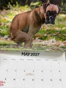 Calendar 2027 Dogs Pooping In Beautiful Places Funny Gag Gifts Thick Paper Wall Calendar Christmas Home Decor Planning Organizer - Multiple Styles - View 2