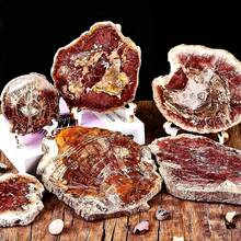 1 Pc Stunning Quartz Irregular Slice Cluster – Distinct Veining – Home Decor- Classroom Teaching Resource – Unique Gift For Easter Or Valentine's Day - Multicolor - View 3