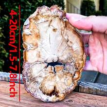 1 Pc Stunning Quartz Irregular Slice Cluster – Distinct Veining – Home Decor- Classroom Teaching Resource – Unique Gift For Easter Or Valentine's Day - Multicolor - View 2