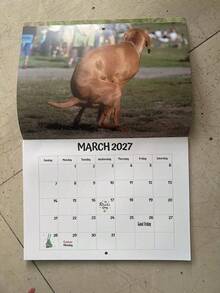Calendar 2027 Dogs Pooping In Beautiful Places Funny Gag Gifts Thick Paper Wall Calendar Christmas Home Decor Planning Organizer - Multiple Styles - View 1