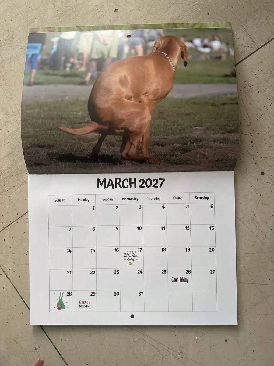 Calendar 2027 Dogs Pooping In Beautiful Places Funny Gag Gifts Thick Paper Wall Calendar Christmas Home Decor Planning Organizer - Multiple Styles - View 1