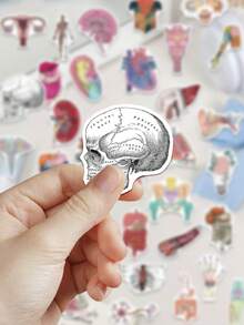 50pcs Anatomy Stickers For Decorating Planner, Journal, Scrapbook, Notebook, Luggage, Guitar, Skateboard, Manual, Tablet, Water Bottle, Phone - Anatomy - View 6