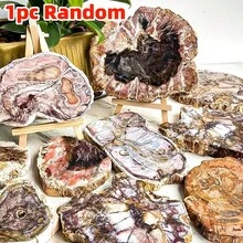 1 Pc Stunning Quartz Irregular Slice Cluster – Distinct Veining – Home Decor- Classroom Teaching Resource – Unique Gift For Easter Or Valentine's Day - Multicolor - View 11