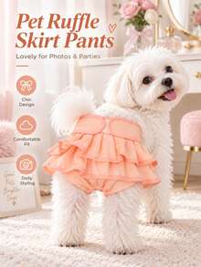 3 Packs/Single-Pack Reusable Dog Diapers For Female Dogs, Machine Washable, Highly Absorbent, For Puppies, Dogs, Heat Cycle, Fever, Diaper Pants, Or Excitation-Induced Urination - Dusty Pink - View 1