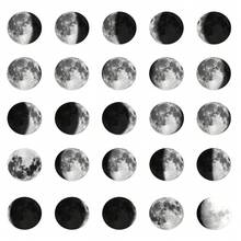 50pcs Moon Phase Stickers For Decorating Planner, Journal, Scrapbook, Notebook, Luggage, Guitar, Skateboard, Manual, Tablet, Water Bottle, Phone - Moon Phases - View 5