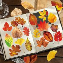 50pcs Transparent Fallen Leaf PET Graffiti Stickers Waterproof DIY Scrapbook Material Guitar Laptop Luggage Skateboard Water Cup Decals - one-size - View 6