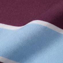 Men's Purple & Blue Colorblock Gradient Striped Polo Collar Long Sleeve Casual Retro Top, Suitable For Commute, Campus And Daily Wear, Spring/Autumn - Blue - View 9